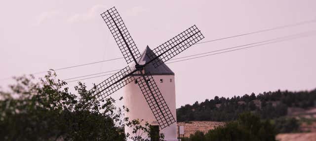 Visita guiada por El Romeral