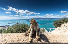 Excursión a Gibraltar