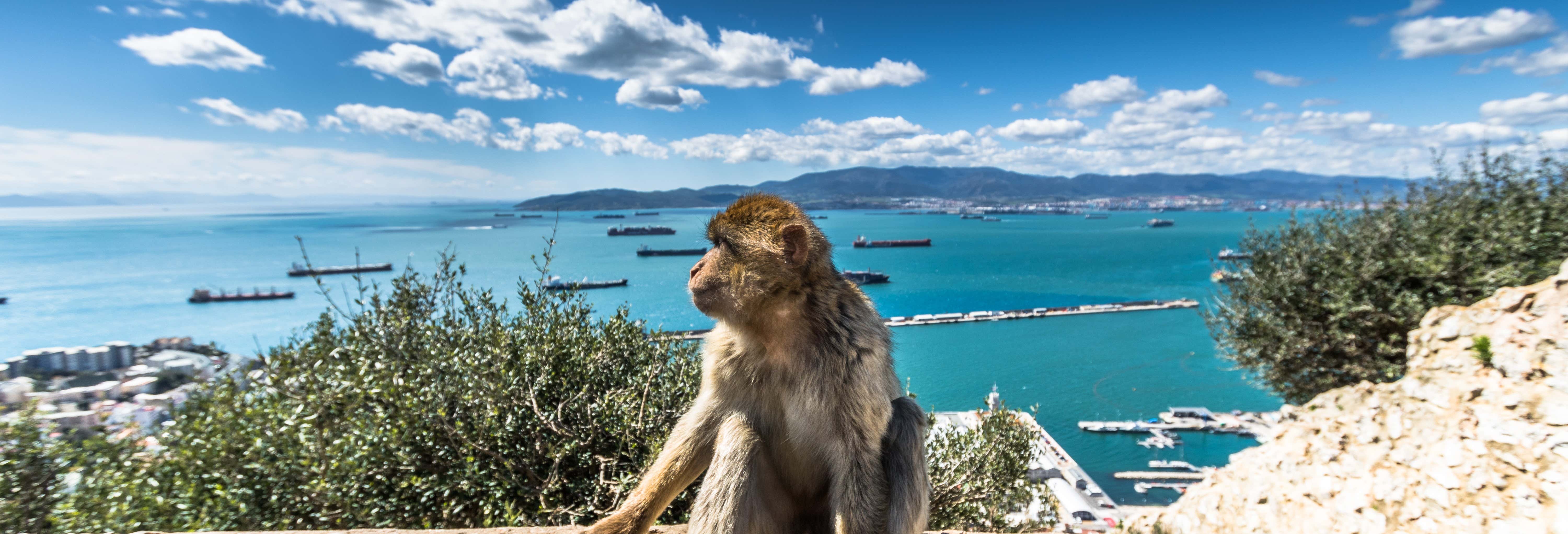 Day trips in El Rompido