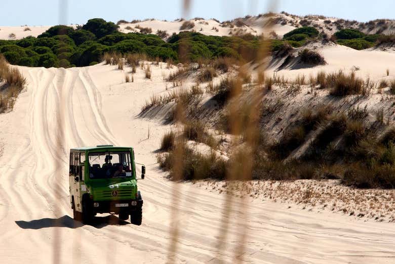In jeep sulle dune del Doñana