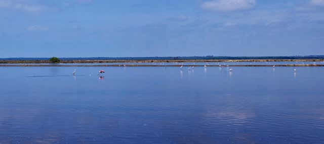 Wharf of the Caravels Boat Cruise