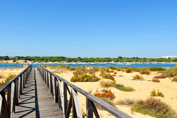 Tour en bicicleta por El Rompido