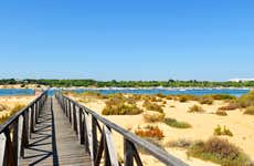 Tour en bicicleta por El Rompido