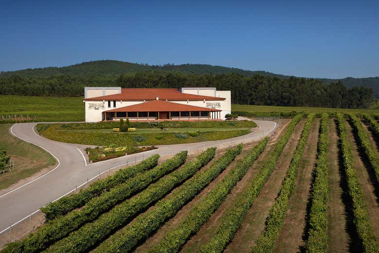 Bodegas Terras Gauda y sus viñedos