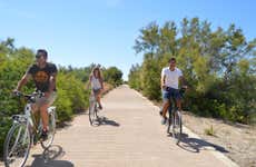 Bike Hire in La Albufera