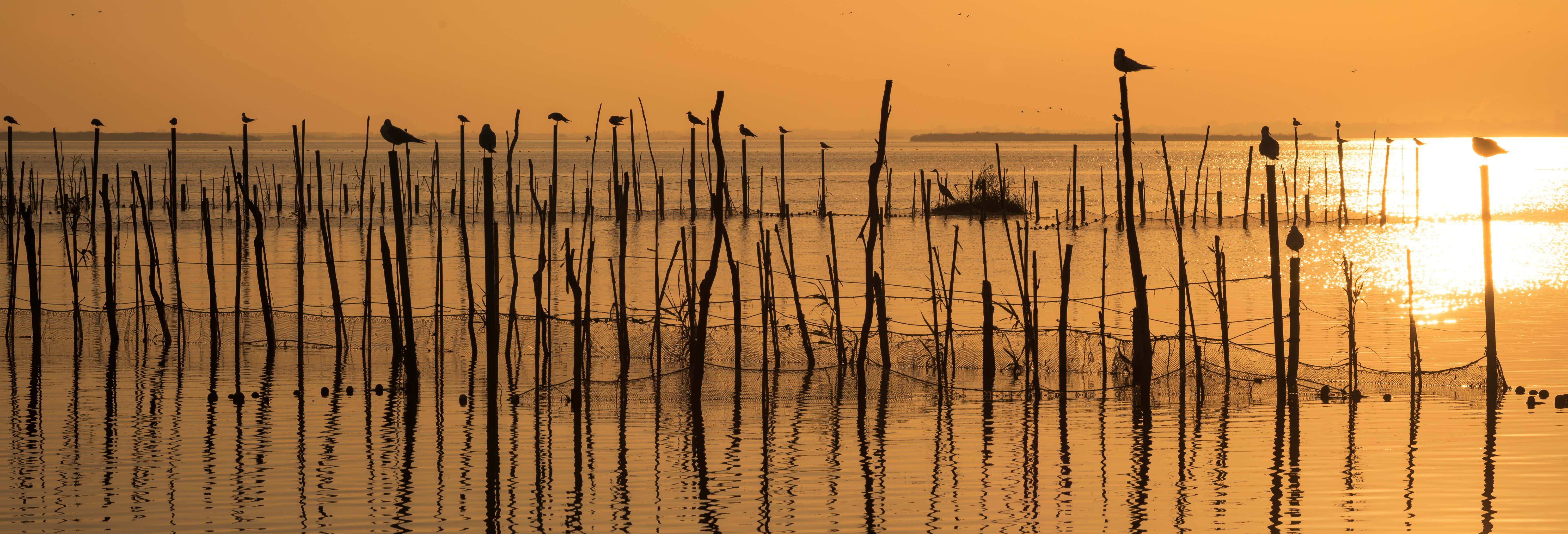 La Albufera