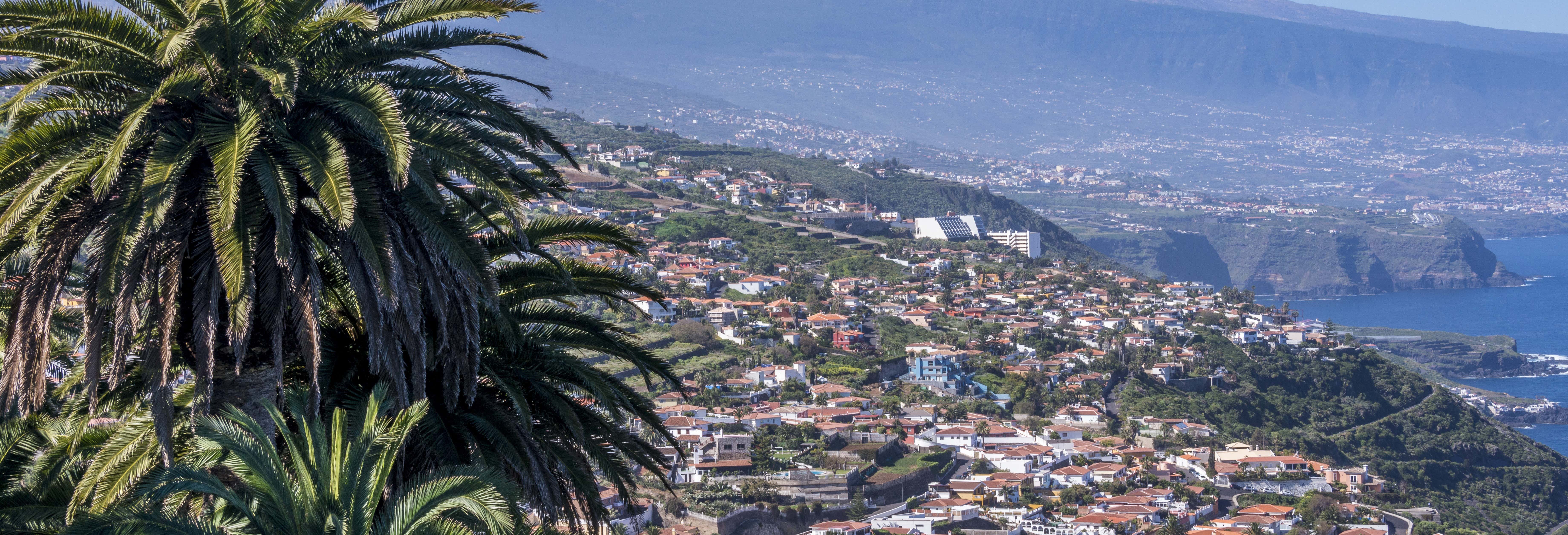 Food and wine experiences in El Sauzal