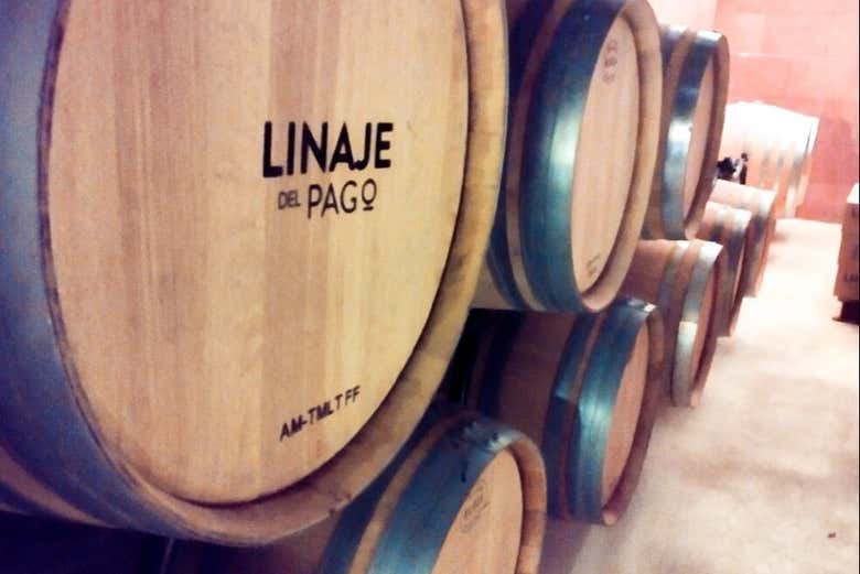 Le botti delle cantine Linaje del Pago