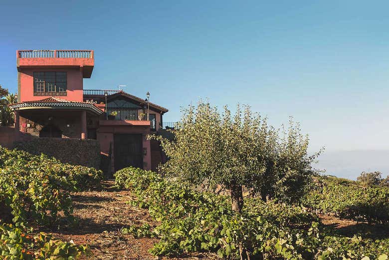 Cantine Monje