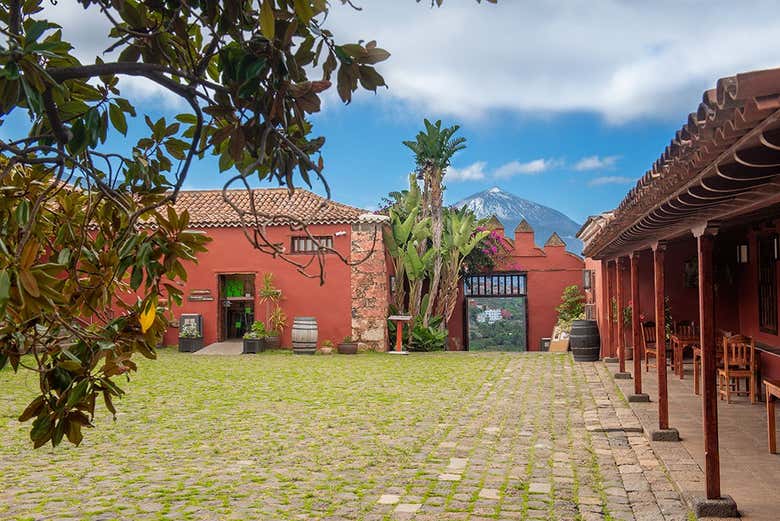 Visitando la Casa del Vino