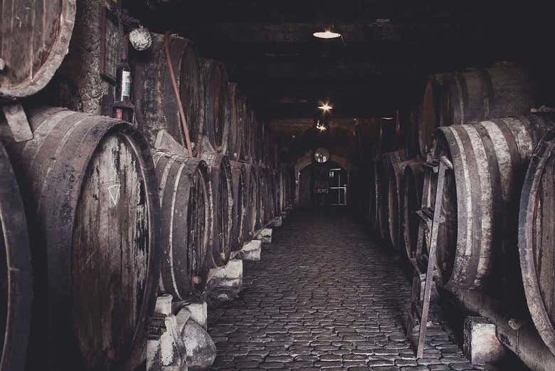 Sala botti delle cantine Monje