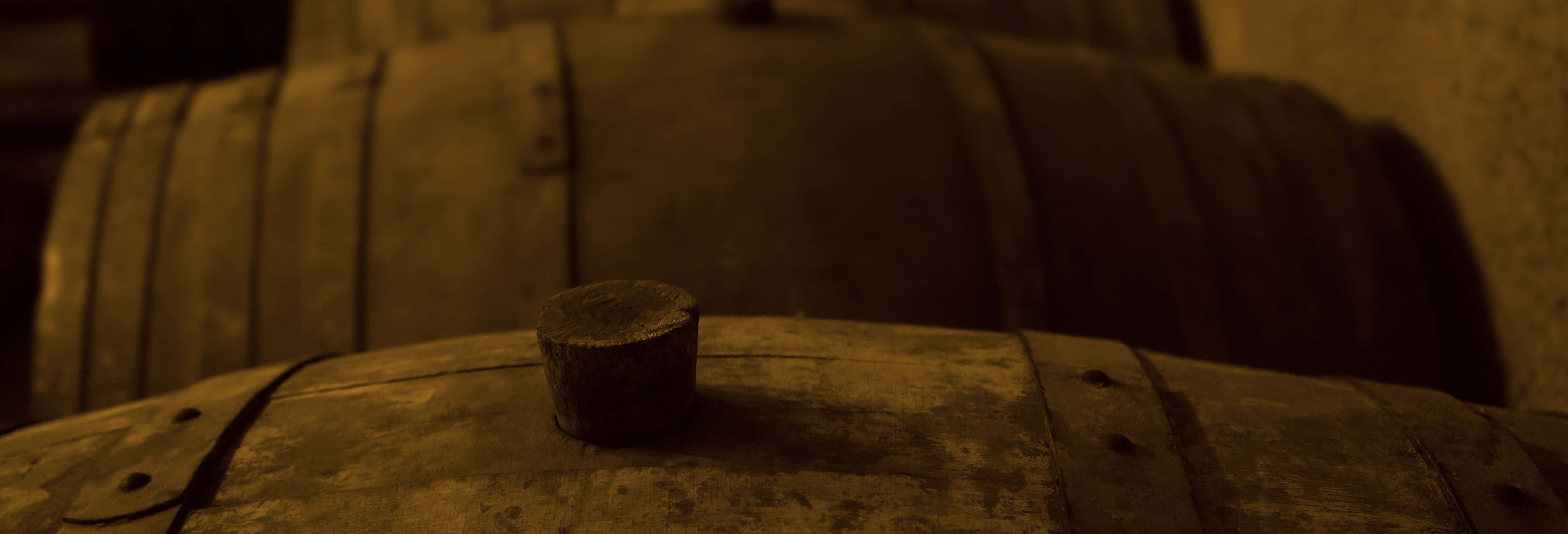 Gastronomía y enoturismo en El Sauzal