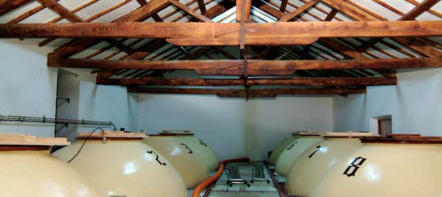 Visita a la bodega Campos de Dulcinea