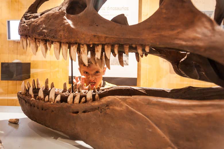 Disfrutando de la visita al Museo Cretácico