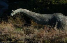 Ruta de los dinosaurios por Enciso