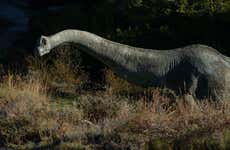 Ruta de los dinosaurios por Enciso
