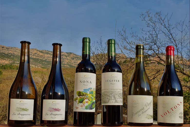 Vinos de la bodega