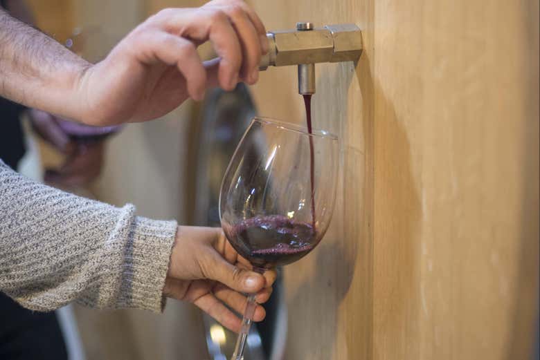 Cata de vino de depósitos y barricas