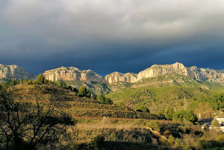 Vistas desde la bodega