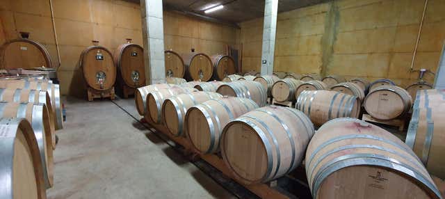 Visita a la bodega La Conreria