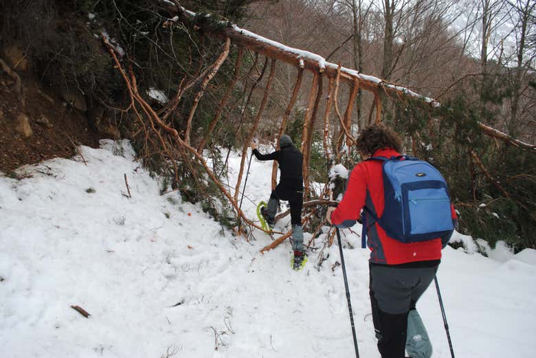Explorando el Parque Nacional de Ordesa y Monte Perdido