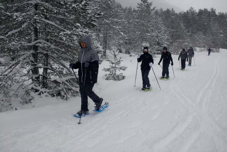 Durante el paseo con raquetas de nieve