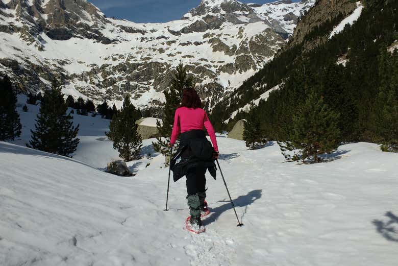 Paseando con raquetas de nieve