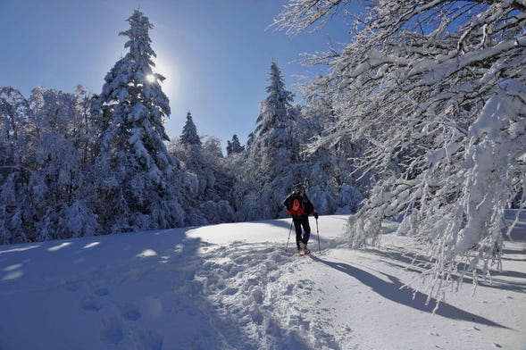 Paseo con raquetas de nieve por Ordesa y Monte Perdido