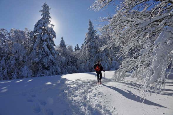 Paseo con raquetas de nieve por Ordesa y Monte Perdido