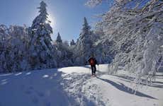 Passeggiata in racchette da neve a Ordesa e al Monte Perdido