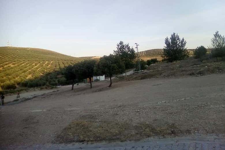 Disfrutando del paisaje de Espejo