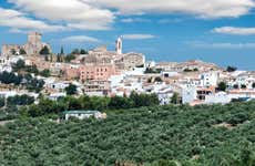 Visita guiada por Espejo