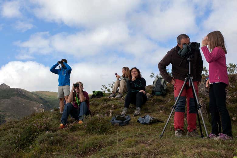 Descubriendo la berrea