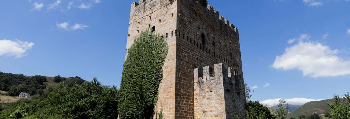 Visitas guiadas y free tours en Espinosa de los Monteros