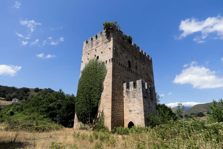 Torre de los Velasco, Espinosa de los Monteros