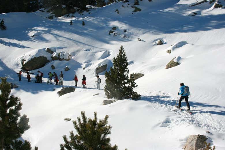 Caminando con raquetas de nieve