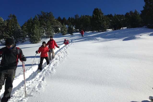 Desfrutando do passeio de raquetes de neve