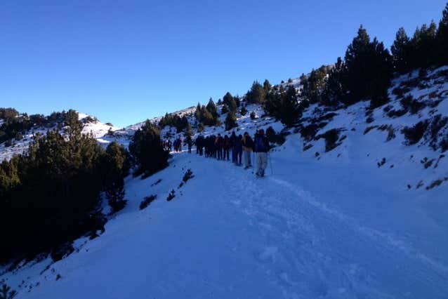 Caminhando com as raquetes de neve