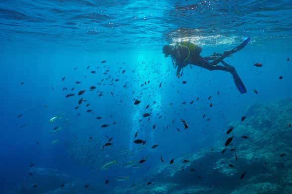 Bautismo de buceo en el Parque Natural del Montgrí