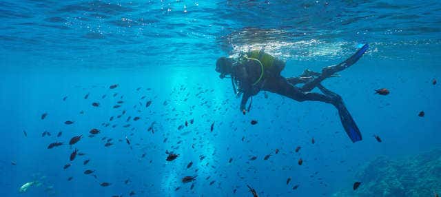 Bautismo de buceo en el Parque Natural del Montgrí