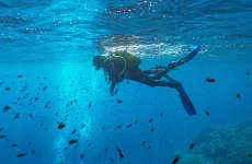 Bautismo de buceo en el Parque Natural del Montgrí