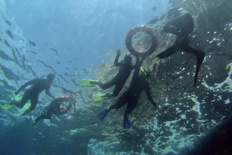Explorando las profundidades marinas de las Medas