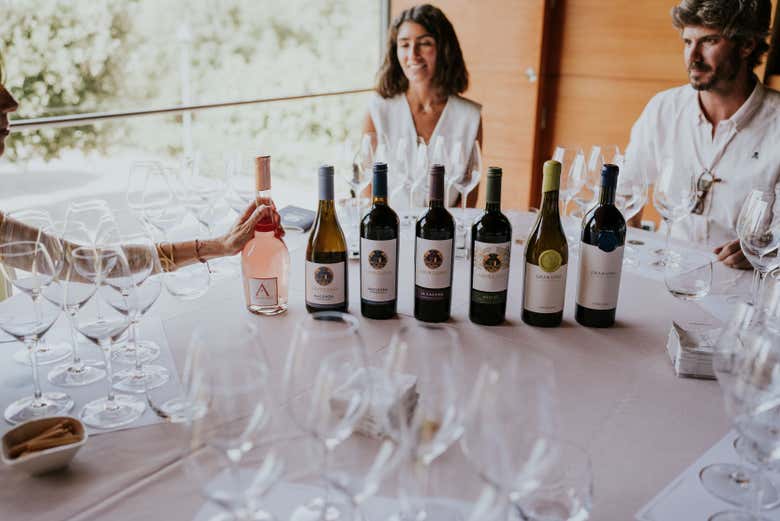 Vinhos que iremos provar durante a degustação