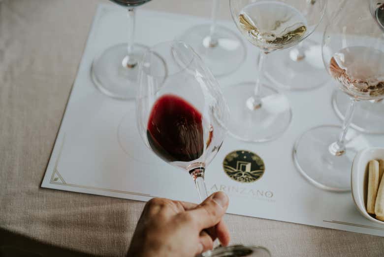 Apreciando uma taça de vinho tinto