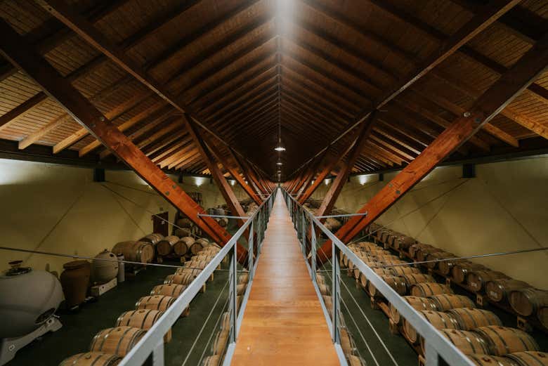 Interior das adegas Arínzano