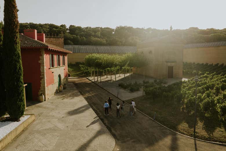 Paseando por las Bodegas Arínzano