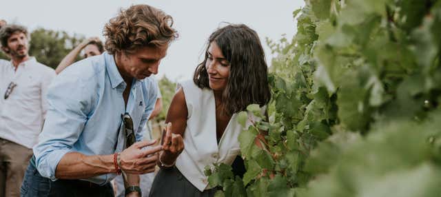 Visita a las Bodegas Arínzano