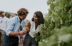 Visita a las Bodegas Arínzano