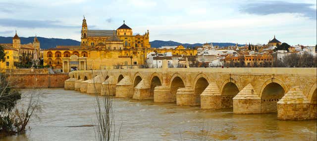 Cordoba Day Trip