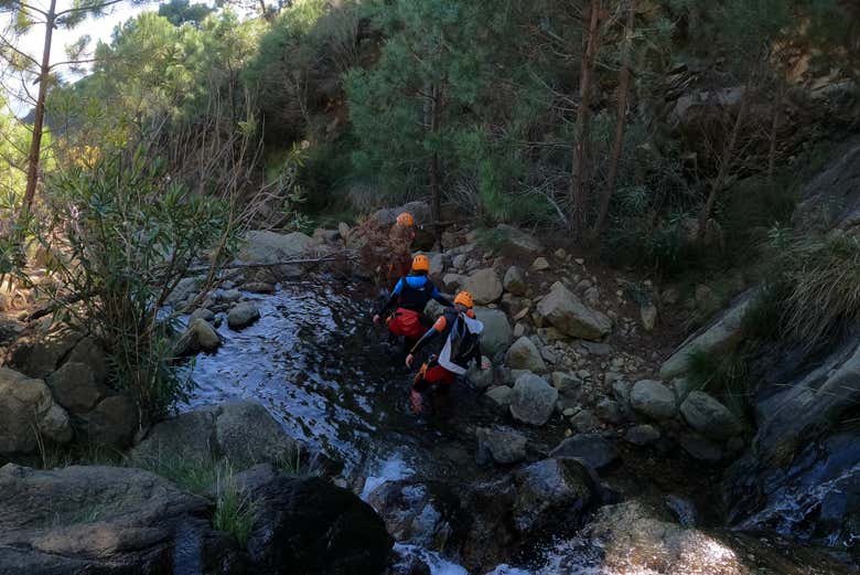 Immerse yourself in nature